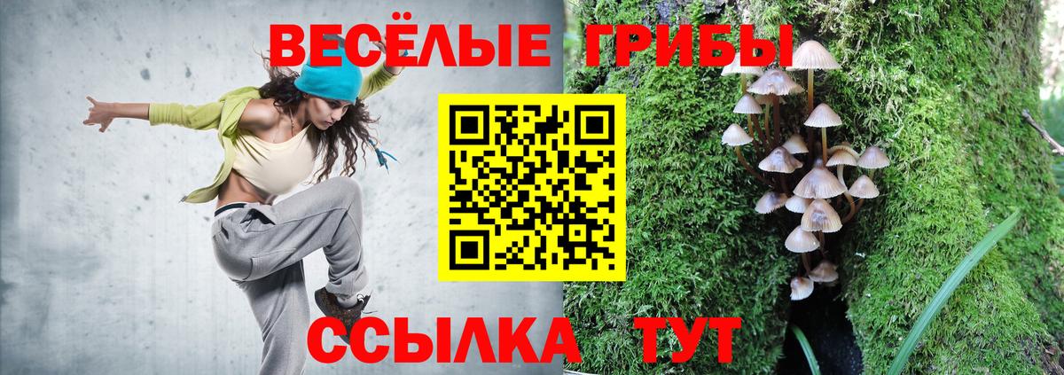 Псилоцибиновые грибы ЛСД  Вход с VPN  магазин    Владимир 