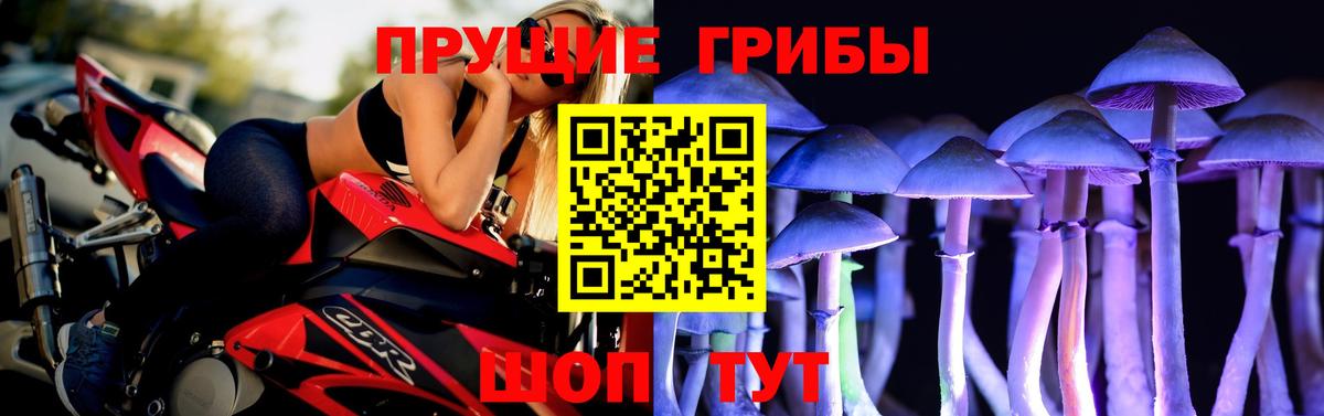 Псилоцибиновые грибы Psilocybe Владимир