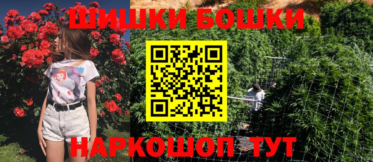 Конопля OG Kush Владимир